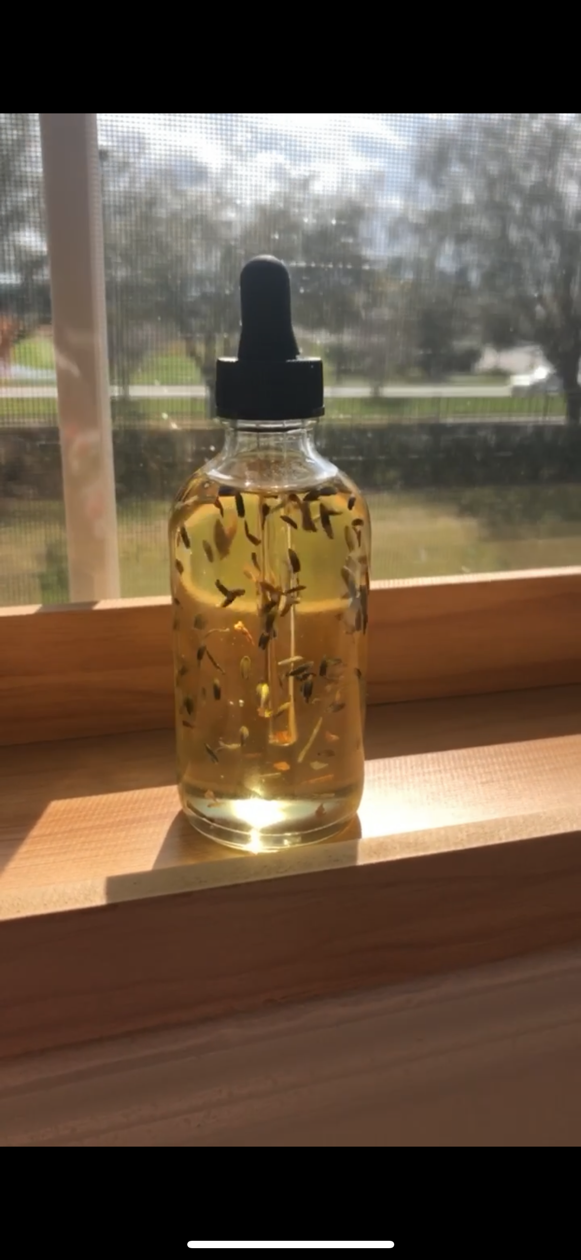 Zen Body Oil